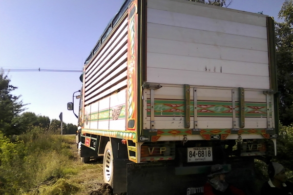 ขาย6ล้อเด๊กก้าFRRประกอบเครื่อง6HE195ดั้มข้าวเปลือกกระบะปิเนียมยาว5เมตรสภาพพร้อมใช้