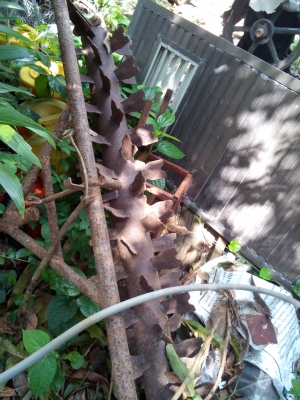 รถไถ่นาเดินตาม สภาพสวย   8 แรงม้า พร้อมใช้งาน