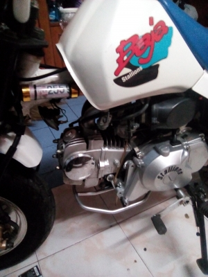 ขายรถวิบากจิ๋ว STALLIONS เครื่อง 125.cc