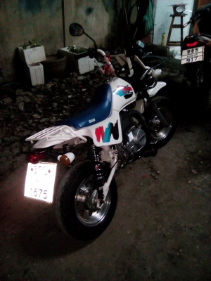 ขายรถวิบากจิ๋ว STALLIONS เครื่อง 125.cc