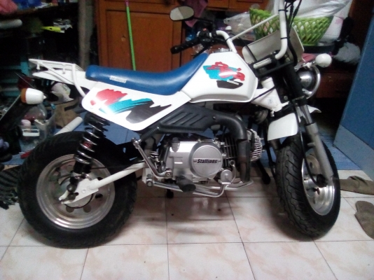 ขายรถวิบากจิ๋ว STALLIONS เครื่อง 125.cc