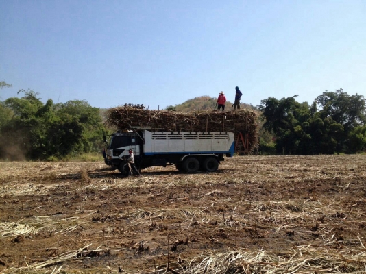 ขายหลง MA ดั้มพ์ ขายหลง MA ดั้มพ์