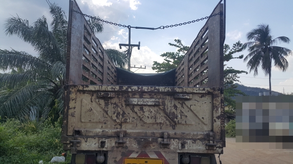 หางไม่ดั้มสองเพลา หางไม่ดั้มสองเพลา