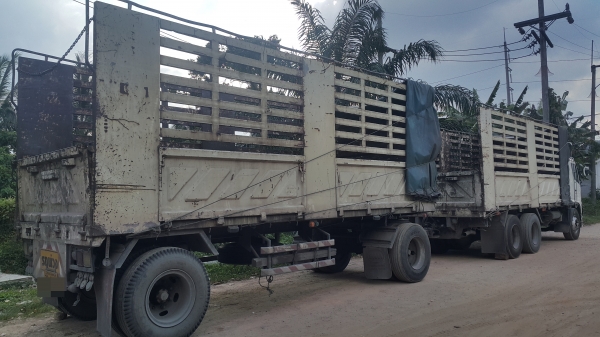 หางไม่ดั้มสองเพลา หางไม่ดั้มสองเพลา