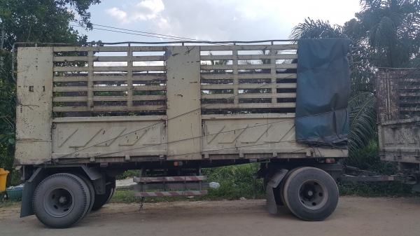 หางไม่ดั้มสองเพลา หางไม่ดั้มสองเพลา