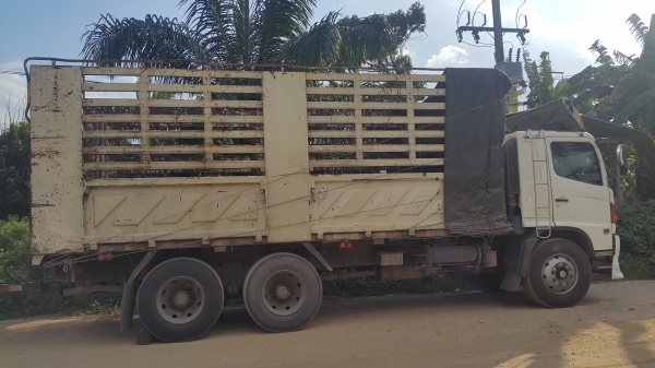 Hino fm มีลำโพง  เฉพาะแม่คะ