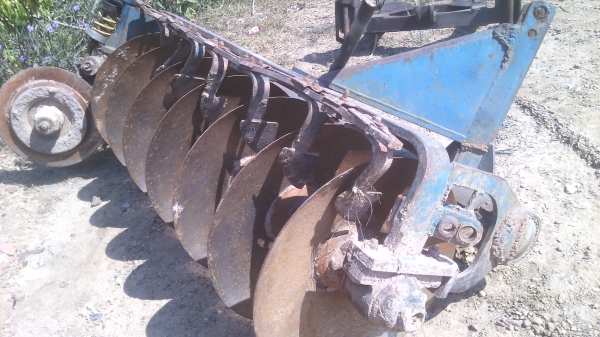 ขายหาง7ชีเอ็มที  สนใจ0810076640