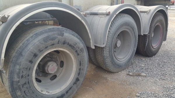 หางก้างสามเพลาแท้