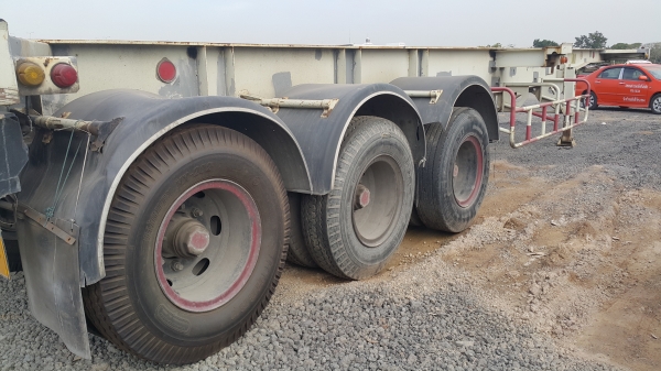 หางก้างสามเพลาแท้