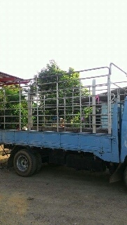 ขายยหกล้ออิสุสุ 100แรง ขายยหกล้ออิสุสุ 100แรง