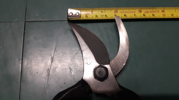 ขายกรรไกรตัดกิ่งไม้ตราไก่งานเก่าเก็บขนาด8" ขายกรรไกรตัดกิ่งไม้ตราไก่งานเก่าเก็บขนาด8"