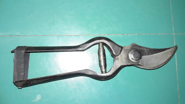 ขายกรรไกรตัดกิ่งไม้ตราไก่งานเก่าเก็บขนาด8" ขายกรรไกรตัดกิ่งไม้ตราไก่งานเก่าเก็บขนาด8"