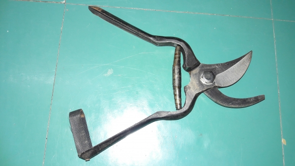 ขายกรรไกรตัดกิ่งไม้ตราไก่งานเก่าเก็บขนาด8" ขายกรรไกรตัดกิ่งไม้ตราไก่งานเก่าเก็บขนาด8"