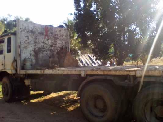 กระบะพื้นเรียบ