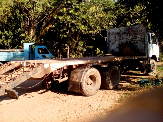 กระบะพื้นเรียบ