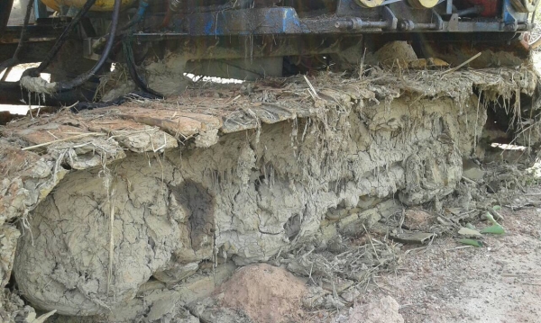 ขายรถเกี่ยวข้าว ศักดิ์พัฒนาการเกษตร เครื่อง 6D16 195 แรงม้า รถพร้อมใช้ครับ