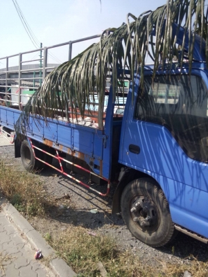 หกล้อ อีซูซุ NPR120ปี44 แอร์ พ.เวอร์ ช่วงยาว4.30ม สภาพพร้อมใช้งาน ทะเบียนพร้อมโอน หกล้อ อีซูซุ NPR120ปี44 แอร์ พ.เวอร์ ช่วงยาว4.30ม สภาพพร้อมใช้งาน ทะเบียนพร้อมโอน