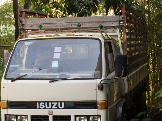 ขายด่วน