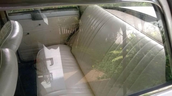 ขาย fiat 1100 ทะเบียนโอน ขาดหลายปี ต้องจดใหม่