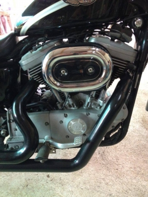 ขาย Harley Davidson sportster 1200 TWIN PLUG(100 ปี) ขาย Harley Davidson sportster 1200 TWIN PLUG(100 ปี)