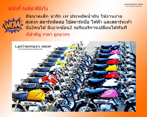 #จัดโปโมชั่นต้อนรับปีใหม่ 2016.รวมสินค้า L&amp;P จัดโปรโมชั่นทั้งร้าน ATV มังกี้  อะไหล่แต่ง ลดราคาสุดๆๆ ราคาเริ่มต้นที่...55555
