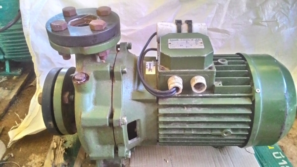 ขายปั๊มหอยโข่ง SAER 2นิ้ว2เฟส220V MADE IN ITALY ขายปั๊มหอยโข่ง SAER 2นิ้ว2เฟส220V MADE IN ITALY