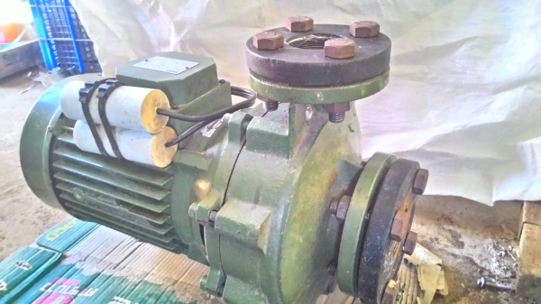 ขายปั๊มหอยโข่ง SAER 2นิ้ว2เฟส220V MADE IN ITALY ขายปั๊มหอยโข่ง SAER 2นิ้ว2เฟส220V MADE IN ITALY