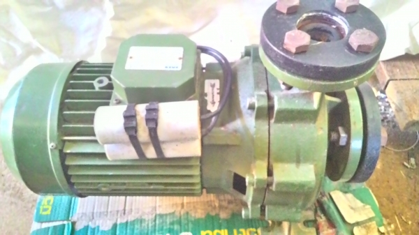 ขายปั๊มหอยโข่ง SAER 2นิ้ว2เฟส220V MADE IN ITALY ขายปั๊มหอยโข่ง SAER 2นิ้ว2เฟส220V MADE IN ITALY