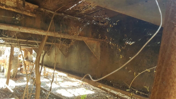 ขายหางโรเบท ยาว 8.50 เมตร คอยาว 3.50 เมตร มีหางพับไฮดรอริค เอกสารเล่มทะเบียนครบ ราคาต่อรองได้ครับ