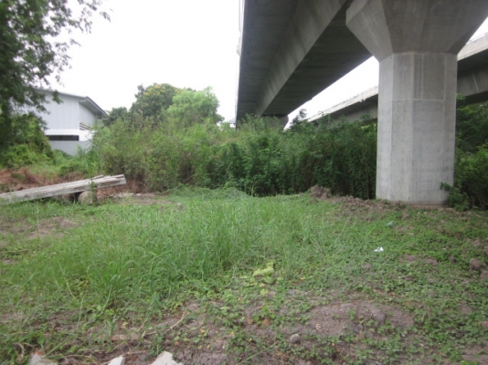 ขออนุญาตขายที่ดินซอยติวานนท์-ปากเกร็ด56(ซ.พระแม่การุณย์35)