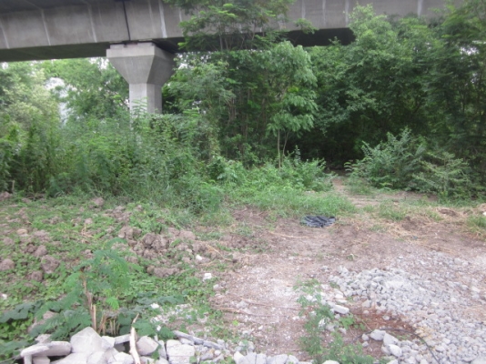 ขออนุญาตขายที่ดินซอยติวานนท์-ปากเกร็ด56(ซ.พระแม่การุณย์35)