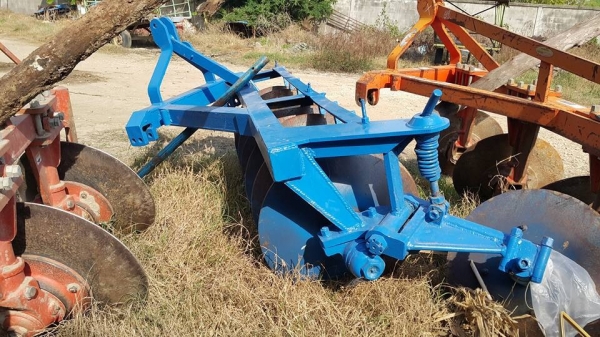 ขายผาน7 ไคเฮงหลีราคา32,000บาทราคาลดได้คับใบเต็มตัวผานไม่มีรอยดาม ขายผาน7 ไคเฮงหลีราคา32,000บาทราคาลดได้คับใบเต็มตัวผานไม่มีรอยดาม