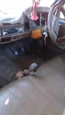 Datsun 720 สภาพสวยเดิม ราคาถูกมาก