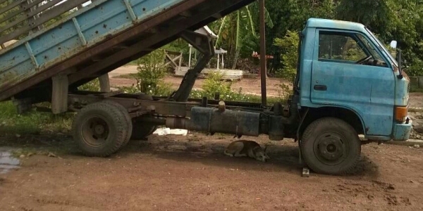 หกล้อ อีซูซุ KS 100 ดั้มค็อกเกษตร สภาพดีเดิมๆพร้อมใช้ ราคา 235,000บ เบาๆ เอาไว้ขับเข้าไร้ ทะเบียนพร้อมโอน