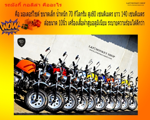 #จัดโปโมชั่นต้อนรับปีใหม่ 2016.รวมสินค้า L&amp;P จัดโปรโมชั่นทั้งร้าน ATV มังกี้  อะไหล่แต่ง ลดราคาสุดๆๆ ราคาเริ่มต้นที่...55555