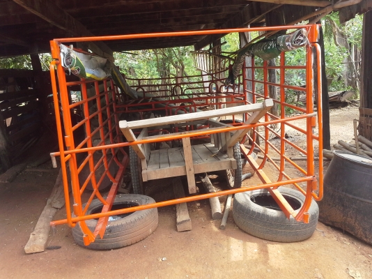 คอกกระบะ