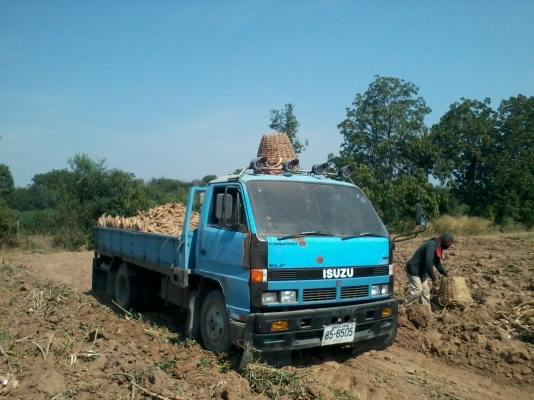 ขาย 6 ล้อ NPR 115 ตัวแรก ราคาพอใช้ ขาย 6 ล้อ NPR 115 ตัวแรก ราคาพอใช้