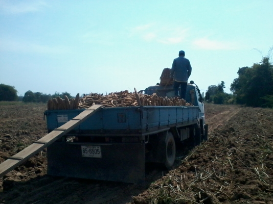 ขาย 6 ล้อ NPR 115 ตัวแรก ราคาพอใช้ ขาย 6 ล้อ NPR 115 ตัวแรก ราคาพอใช้