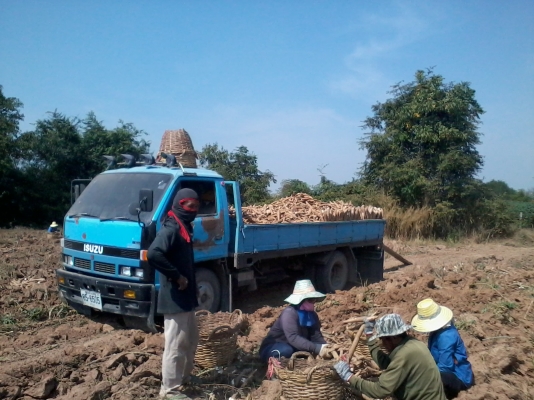 ขาย 6 ล้อ NPR 115 ตัวแรก ราคาพอใช้ ขาย 6 ล้อ NPR 115 ตัวแรก ราคาพอใช้