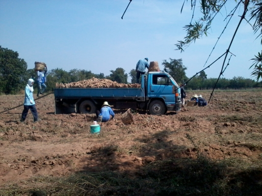 ขาย 6 ล้อ NPR 115 ตัวแรก ราคาพอใช้ ขาย 6 ล้อ NPR 115 ตัวแรก ราคาพอใช้