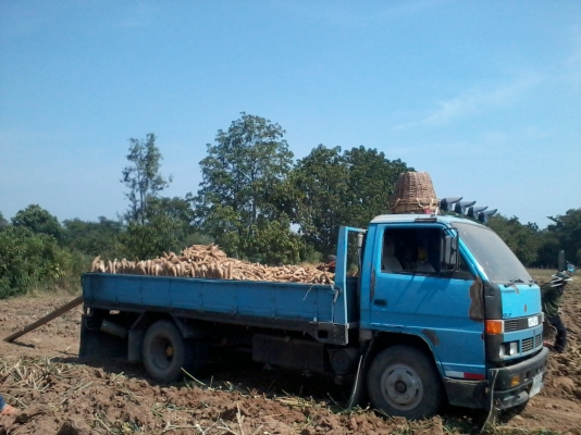 ขาย 6 ล้อ NPR 115  ตัวแรก ราคาพอใช้