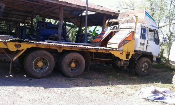 ขายด่วนเทลเลอร์หางปลา ขึ้น200ได้