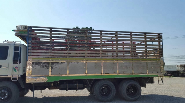 ขาย กระบะล่องไม้ ขาย กระบะล่องไม้