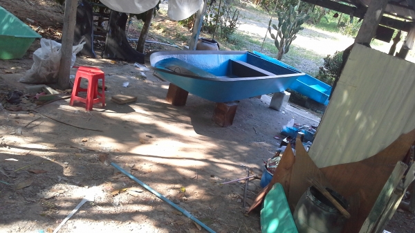 ขายเรือไฟเบอร์กลาส 12ฟุต