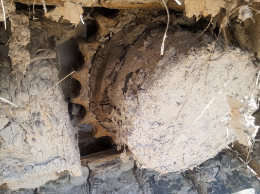 ขายรถแบคโฮ KOBELCO SK200-Vธรรมดา เอกสารอินวอย ราคา 850000