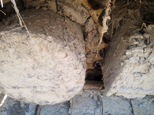 ขายรถแบคโฮ KOBELCO SK200-Vธรรมดา เอกสารอินวอย ราคา 850000