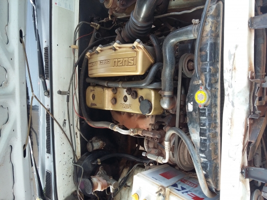 อิชูชุมั งกร   จอมอึด