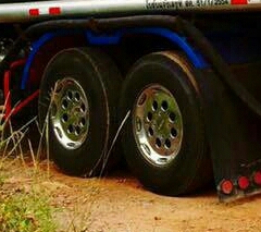 สิบล้อ อีซูซุ 195นางฟ้าแท้ บรรทุกถ้งน้ำมัน 16,000ลิต สภาพดีสวยจัดบางเดิมไม่มึชน ทะเบียนพร้อมโอน สิบล้อ อีซูซุ 195นางฟ้าแท้ บรรทุกถ้งน้ำมัน 16,000ลิต สภาพดีสวยจัดบางเดิมไม่มึชน ทะเบียนพร้อมโอน