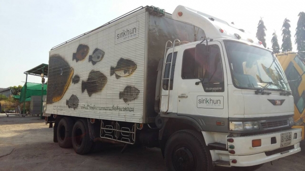 สิบล้อ ฮีโน่ FL1J 220ปึ46 เพเดียว บรรทุกตู้ ช่วงยาว6.50ม สภาพดีสวยบางเดิม ทะเบียนพร้อมโอน