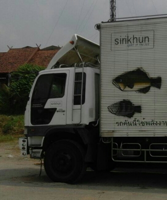 สิบล้อ ฮีโน่ FL1J 220ปึ46 เพเดียว บรรทุกตู้ ช่วงยาว6.50ม สภาพดีสวยบางเดิม ทะเบียนพร้อมโอน